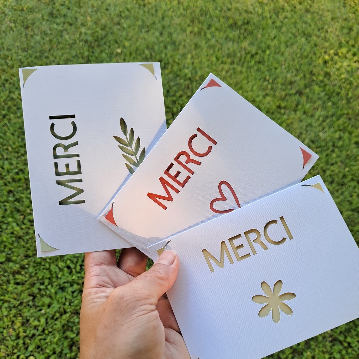 Trois cartes blanches tenues à la main sur fond de pelouse, le mot MERCI découpé en ajouré : vert olive avec une branche, rouge avec un cœur, doré avec une marguerite.